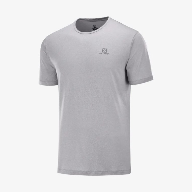 Light Grey Salomon Agile Training Short Sleeve Men's T-Shirts | IE CA2185